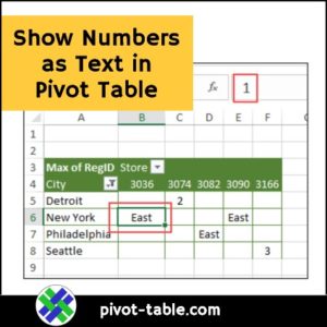 Show Numbers as Text in Pivot Table Values – Excel Pivot Tables