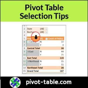 How to Select Specific Part of an Excel Pivot Table – Excel Pivot Tables