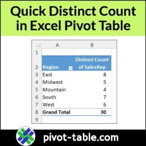 Quick Count Unique (Distinct) Items in Excel Pivot Table – Excel Pivot ...